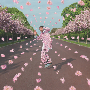 日韩无码av一区二区三区
